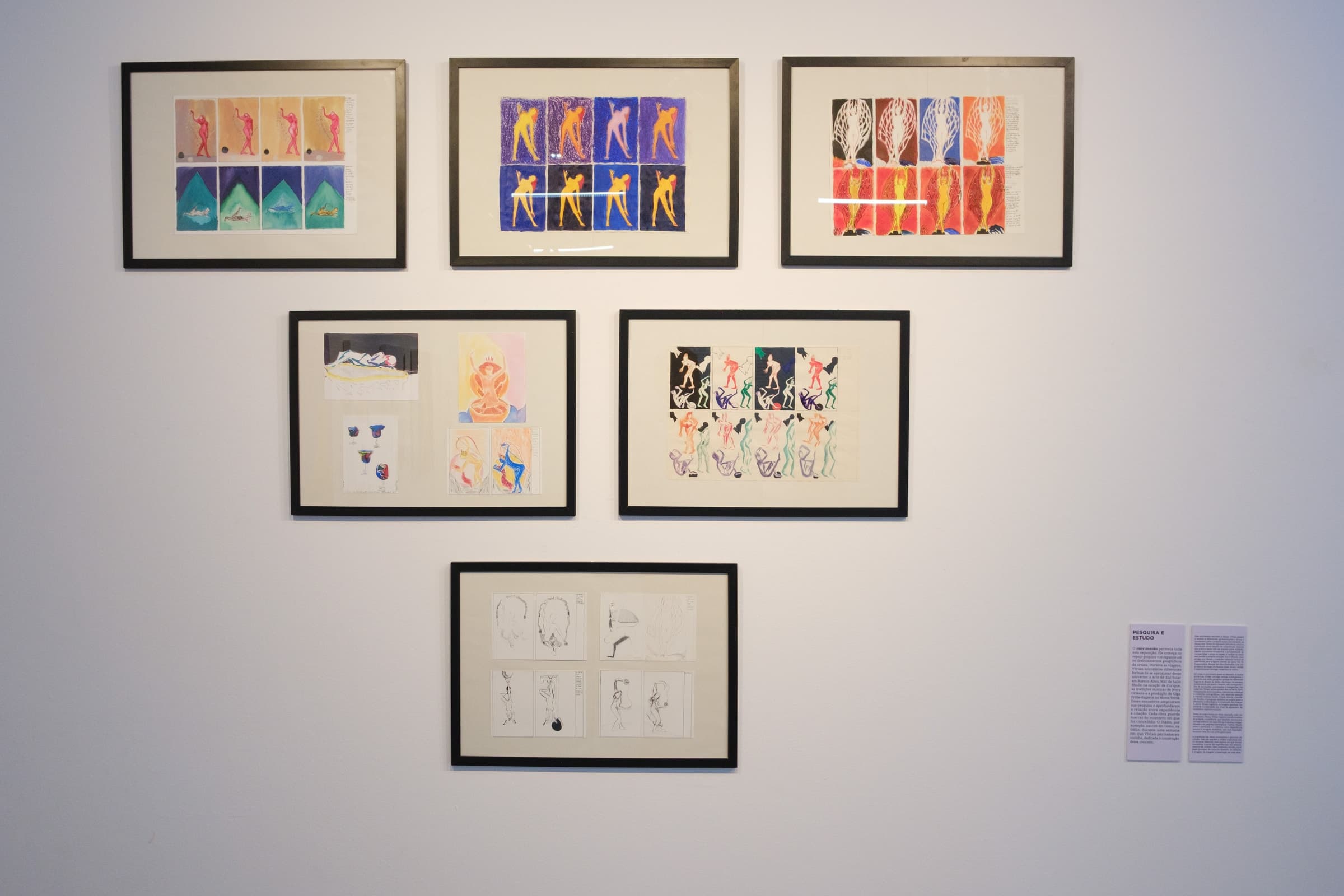 Studies and drawings on display
